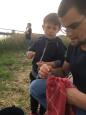 IMG-20190529-WA0017