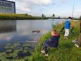 IMG-20190612-WA0013