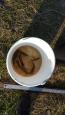 IMG-20190626-WA0004