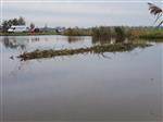 Takkenbossen gerealiseerd op de Nico Epping-plas