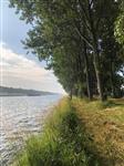 Verslag witviswedstrijd senioren 3 juli