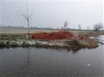Plaatsen Takkenbossen Nico Eppingplas