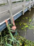 Groot Onderhoud Grote Wetering en Limespark 06-2024